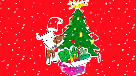 albero di Natale con una mucca e la scatola di Zolle