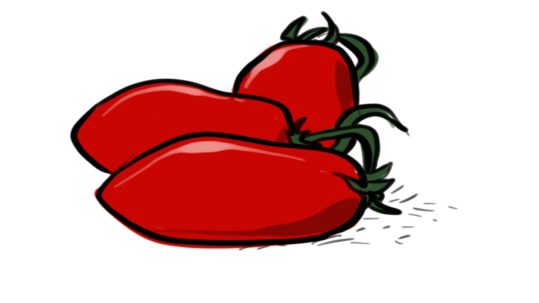 ricette pomodori san marzano