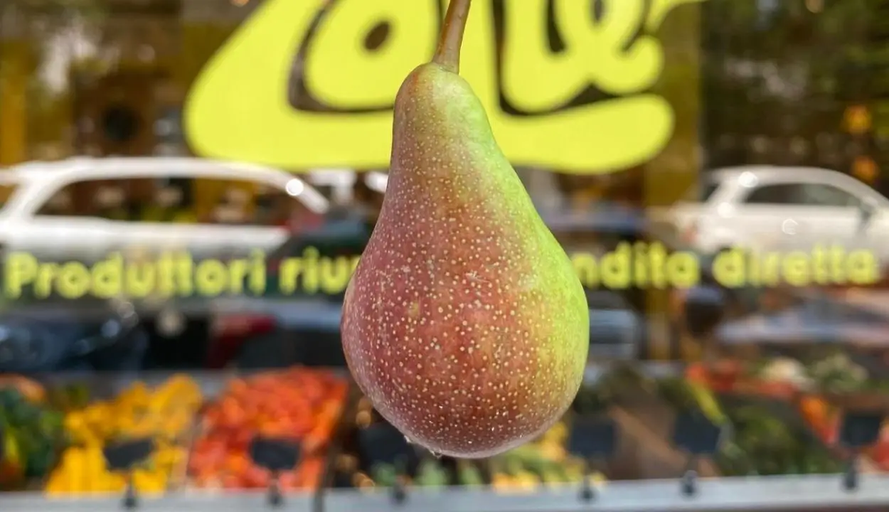 Una pera in primo piano sullo sfondo la vetrina del negozio Zolle Libia